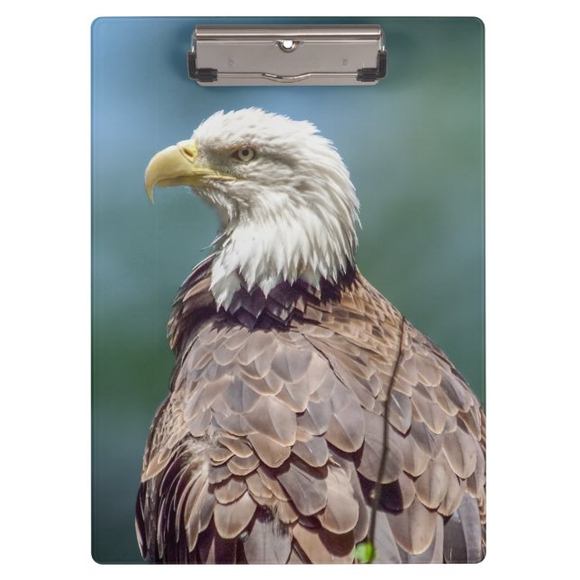 Porte-bloc Porte - bloc de Bald Eagle (Devant)