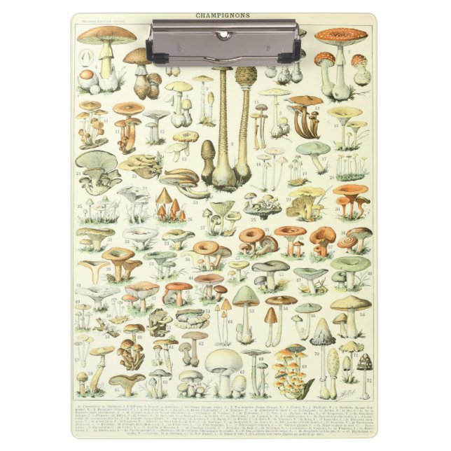 Porte-bloc Porte - bloc de champignons (Devant)