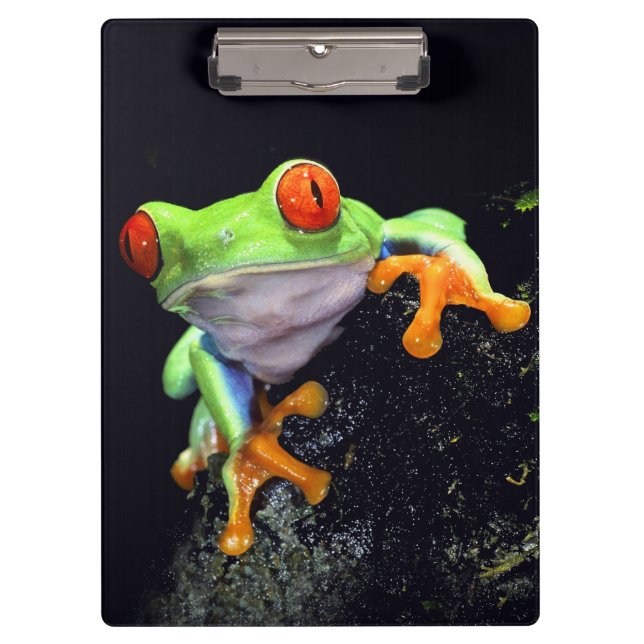 Porte-bloc Porte - bloc de la grenouille 3 (Devant)