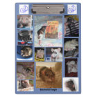 Porte - bloc de Rattie