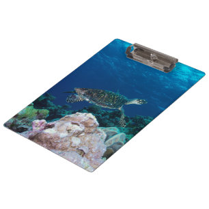 Porte-bloc Porte - bloc de tortue de mer