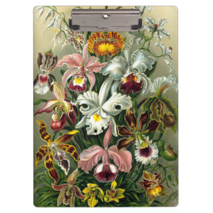 Porte-bloc Porte - bloc d'orchidaceae d'Ernst Haeckel