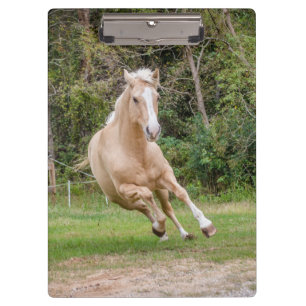 Porte-bloc Porte - bloc du Palomino Horse