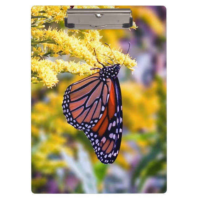 Porte-bloc Porte - bloc papillon Monarch (Devant)