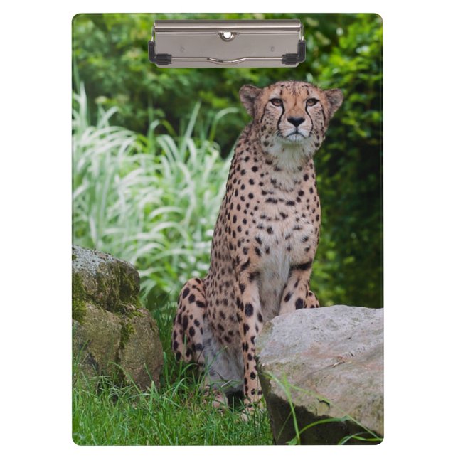 Porte-bloc Porte - bloc photo Cheetah (Devant)