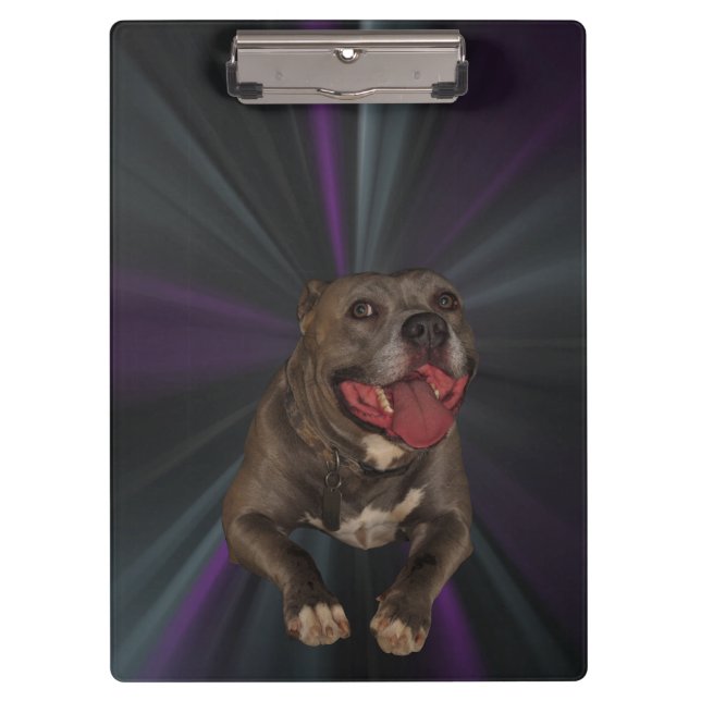 Porte-bloc Porte - bloc Pitbull du noeud bleu (Devant)