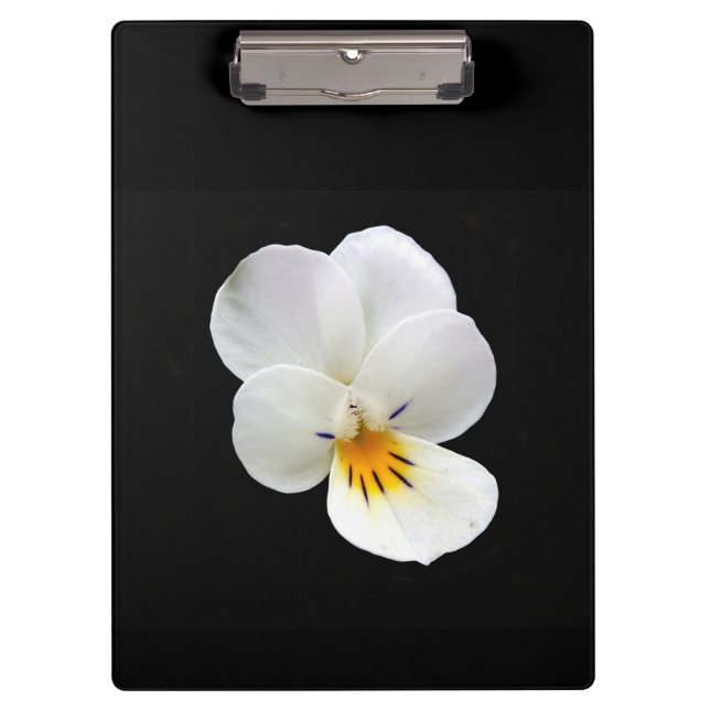 Porte-bloc Porte - bloc sauvage de Pansy (Devant)