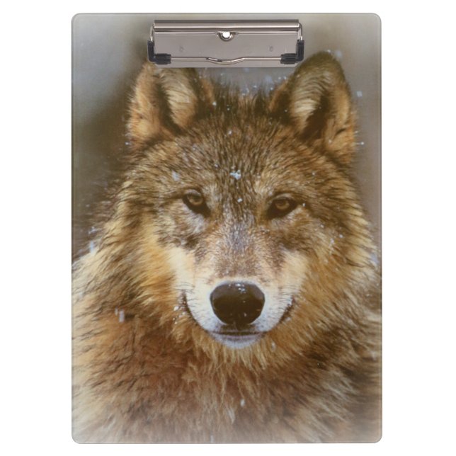 Porte-bloc Porte-documents/Loup (Devant)