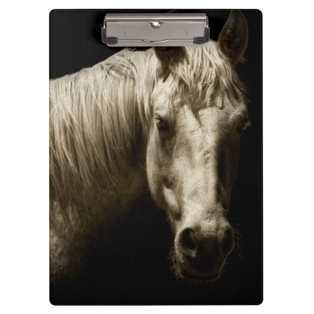 Porte-bloc Portrait de cheval VI (Devant)