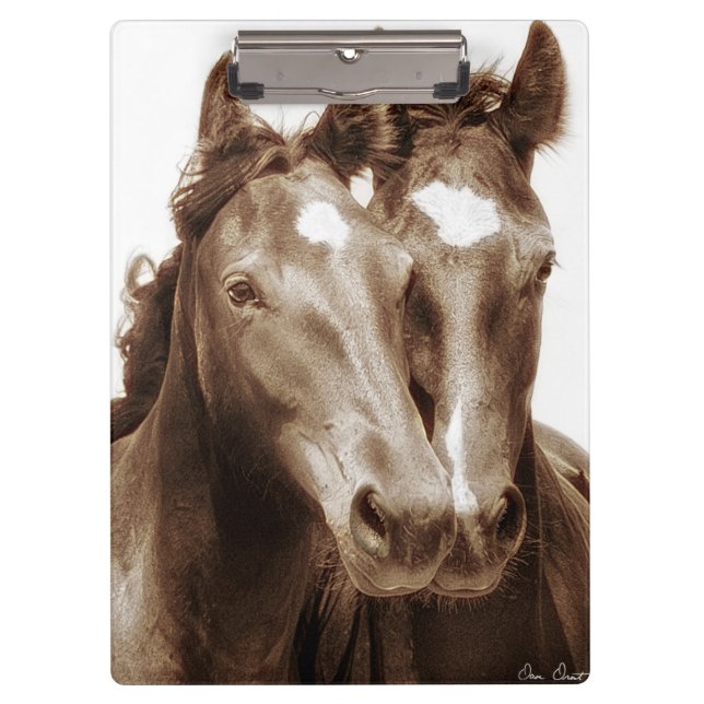 Porte-bloc Portrait III de cheval (Devant)