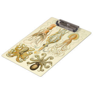 Porte-bloc Poulpe Vintage Squid Gamochonia par Ernst Haeckel