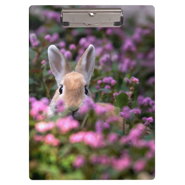 Porte-bloc Rabbit farm (Devant)