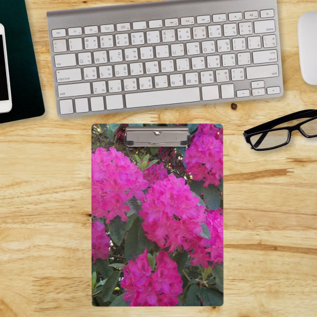 Porte-bloc Rhododendron rose fleurit (In Situ)