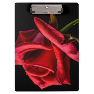 Porte-bloc Rose rouge contre Arrière - plan noir