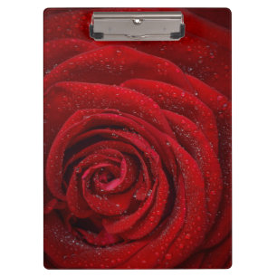 Porte-bloc Rose rouge romantique