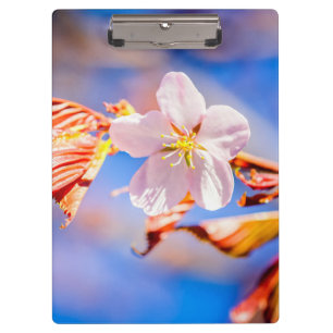 Porte-bloc Rouge Sakura bleu ciel
