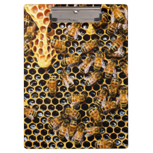 Porte-bloc Ruche d'abeilles avec peigne d'abeille