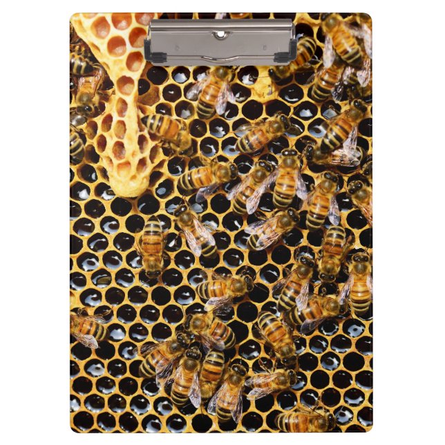 Porte-bloc Ruche d'abeilles avec peigne d'abeille (Devant)