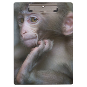 Porte-bloc Singe de bébé