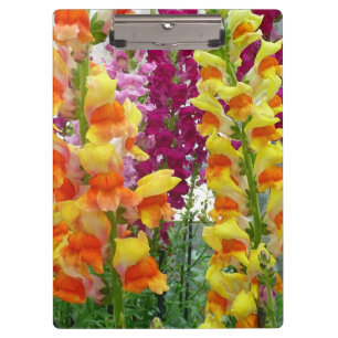 Porte-bloc Snapdragons colorés floraux