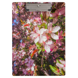 Porte-bloc Soleil et nuages La nature fleurit Coeur en fleurs