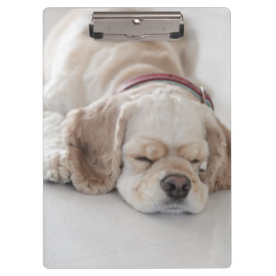 Porte-bloc Sommeil de chien de cocker