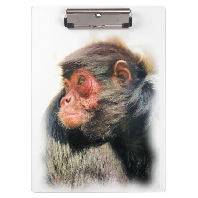 PORTE-BLOC SPIDER MONKEY (Devant)