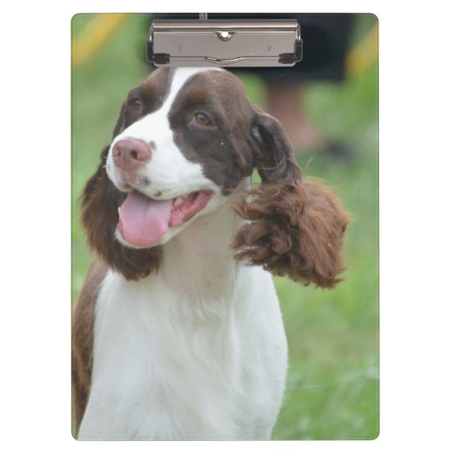 Porte-bloc Springer spaniel mignon (Devant)