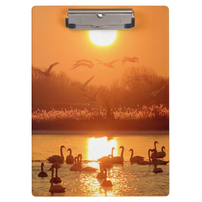 Porte-bloc Swans dans le lac au coucher du soleil (Devant)