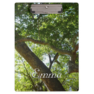 Porte-bloc Sycamore Tree Nature verte