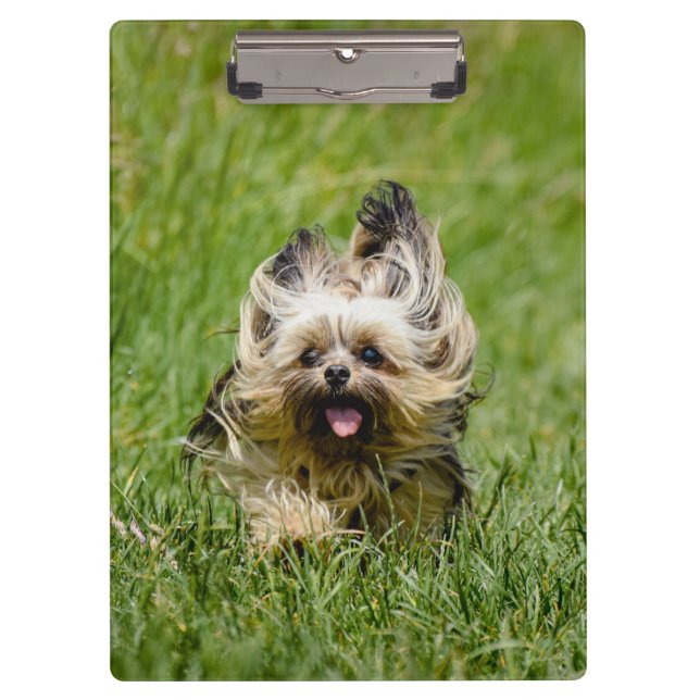 Porte-bloc Terrier Yorkshire mignon Traversant L'Herbe (Devant)