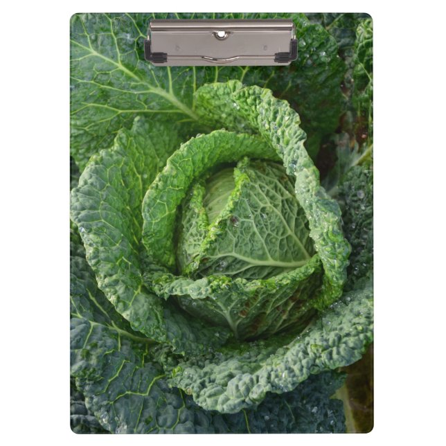 Porte-bloc Tête de choux bio frais (Devant)
