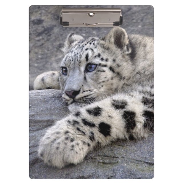 Porte-bloc Tous ont joué le porte - bloc (Devant)