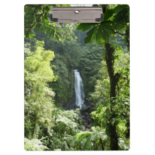Porte-bloc Trafalgar Falls Tropical Rainforest Photographie