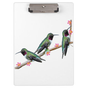Porte-bloc Trois colibris perchés sur une branche Floss Silt