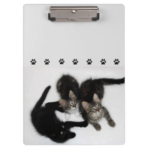 Porte-bloc Trois mignons chatons Porte - bloc