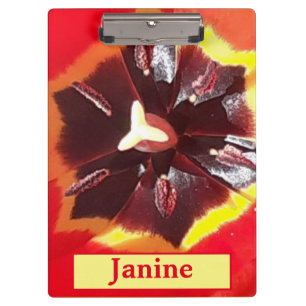 Porte-bloc Tulipe rouge écarlate