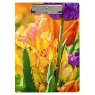 Porte-bloc Tulipes Enchanter 01