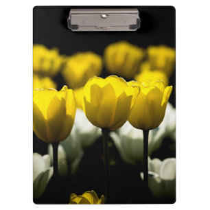 Porte-bloc Tulipes Jaune Et Blanc