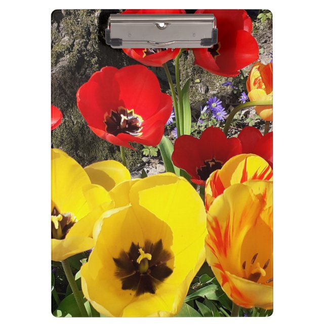 Porte-bloc Tulipes jaunes et rouges (Devant)