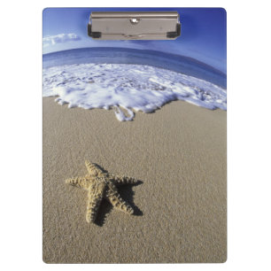 Porte-bloc USA, Hawaii, Maui, Makena Beach, Starfish et