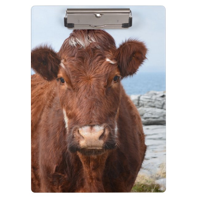 Porte-bloc Vache Brown (Devant)