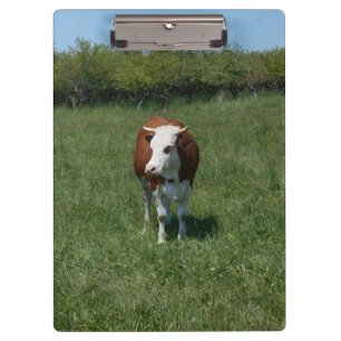 Porte-bloc Vache dans le pâturage
