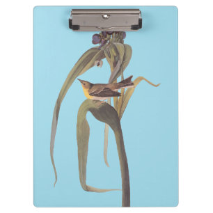 Porte-bloc Vireo Songbird d'Audubon