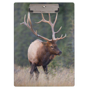 Porte-bloc Wapiti des montagnes Rocheuses