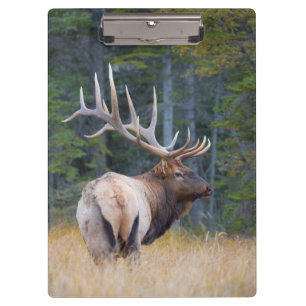 Porte-bloc Wapiti mâle des Montagnes Rocheuses