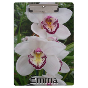 Porte-bloc White Orchids Beautiful Tropical Flowers