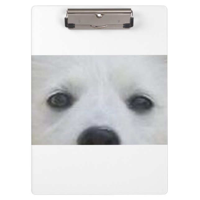 Porte-bloc yeux de chien esquimau américain (Devant)