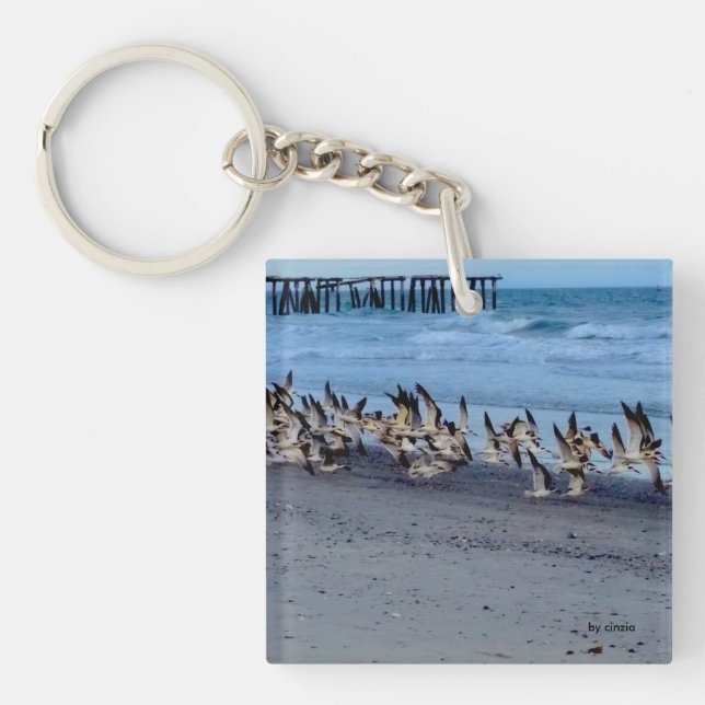 Porte - clé avec l'image des oiseaux, écumoires (Devant)