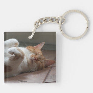 Porte - clé couché de chats cutest